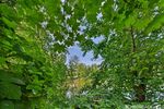 Wochenendgrundstück mit direktem Seezugang - am Elsensee in Grünheide (Mark) - Bungalow Grünheide (Mark) | Angebot:21717230