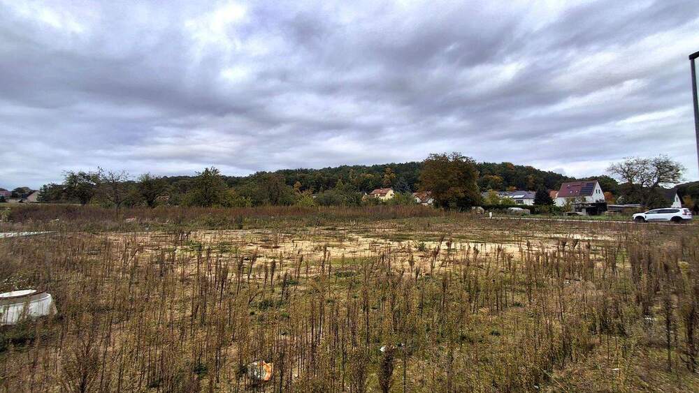 Grundstück Pirna - 193.560&euro; | Angebot:25780942