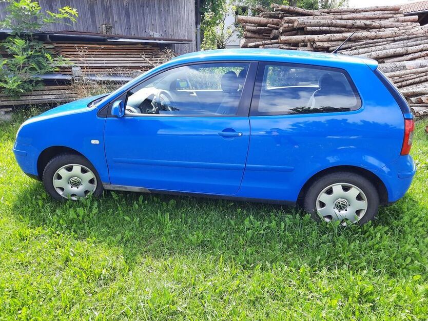 Polo