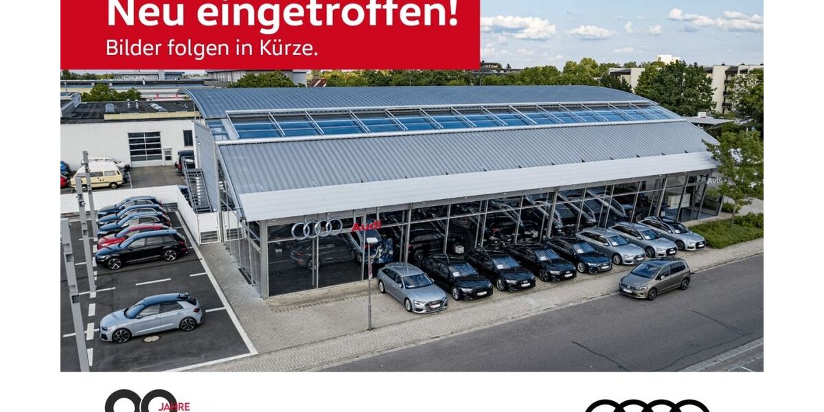 Audi e-tron 95.290 km 39.880 &euro; Landau 76829