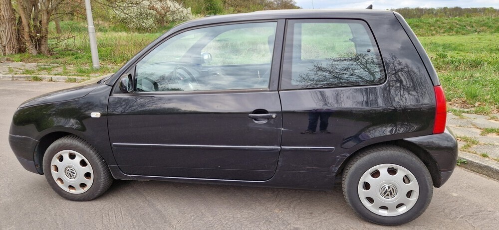 Lupo