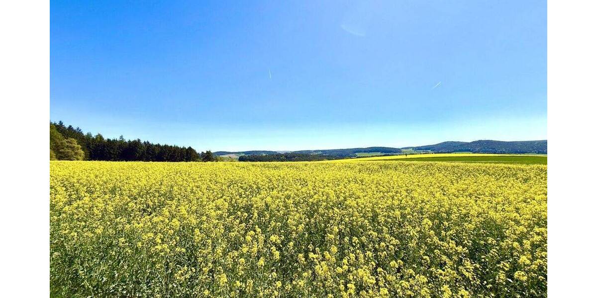 Grundstück Gleiritsch - 59.900&euro; | Angebot:26918025
