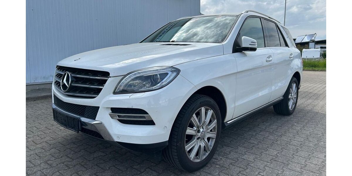 Mercedes-Benz ML 250 189.000 km 16.490 &euro; Bad Säckingen 79713