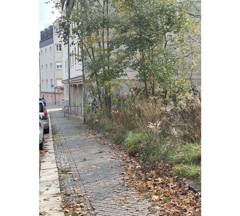 Grundstück zu verkaufen in Plauen 24.000 € 250 m²