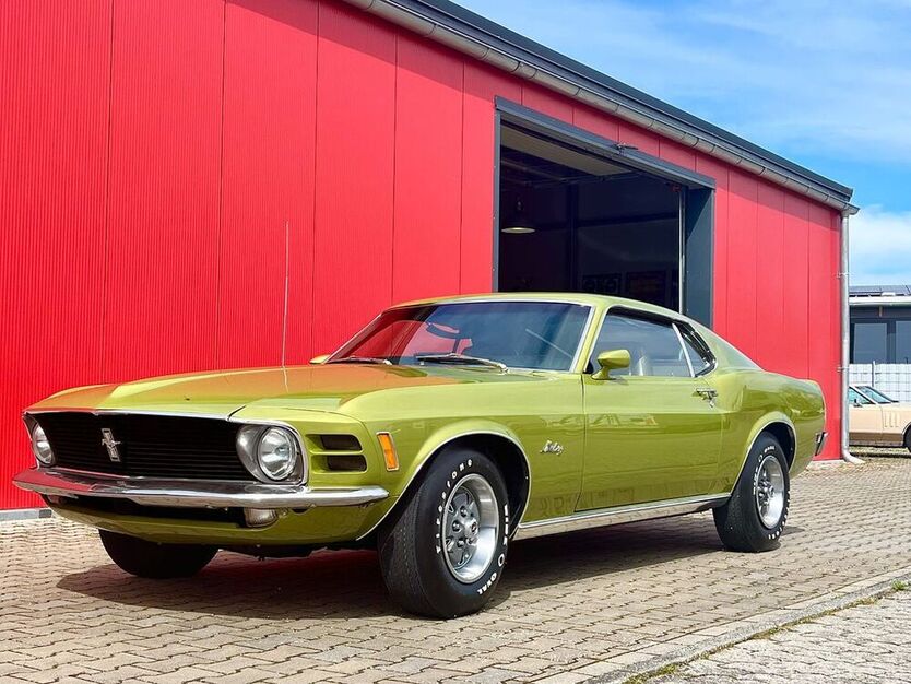 Mustang