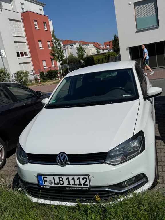 Polo