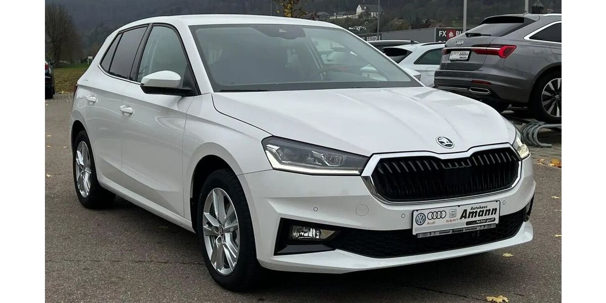 Skoda Fabia 2.000 km 22.950 &euro; Stühlingen 79780