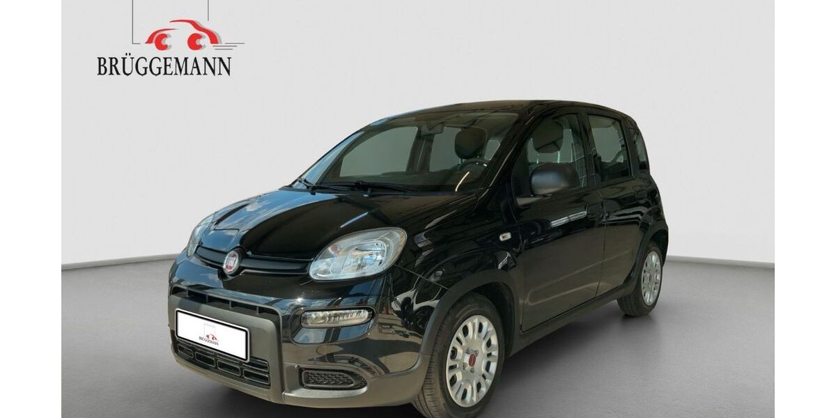 Fiat Panda 42.791 km 10.990 € Osnabrück 49078