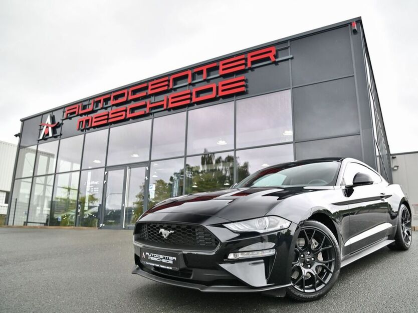 Mustang