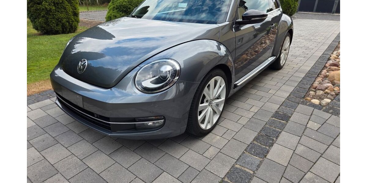 VW Beetle 143.000 km 9.900 &euro; Querfurt 06268