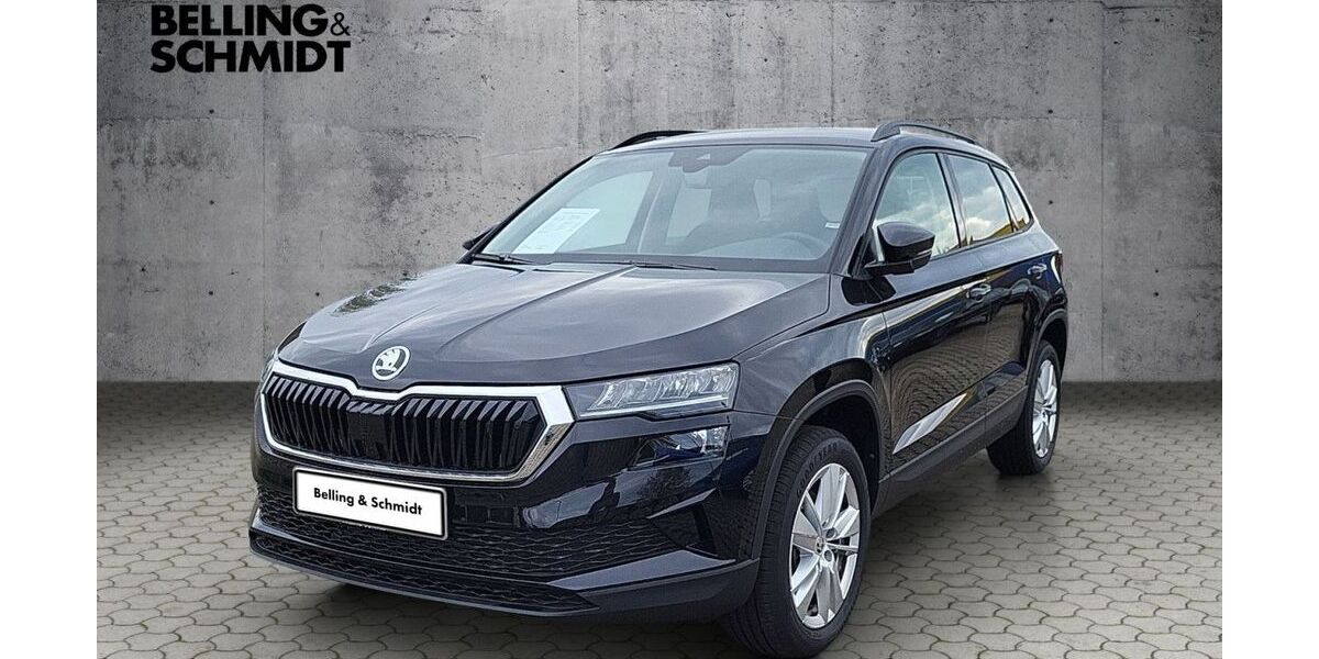 Skoda Karoq 11.100 km 27.770 &euro; Dannenberg 29451