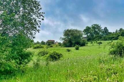 Grundstück Maroldsweisach - 35.000&euro; | Angebot:26981119