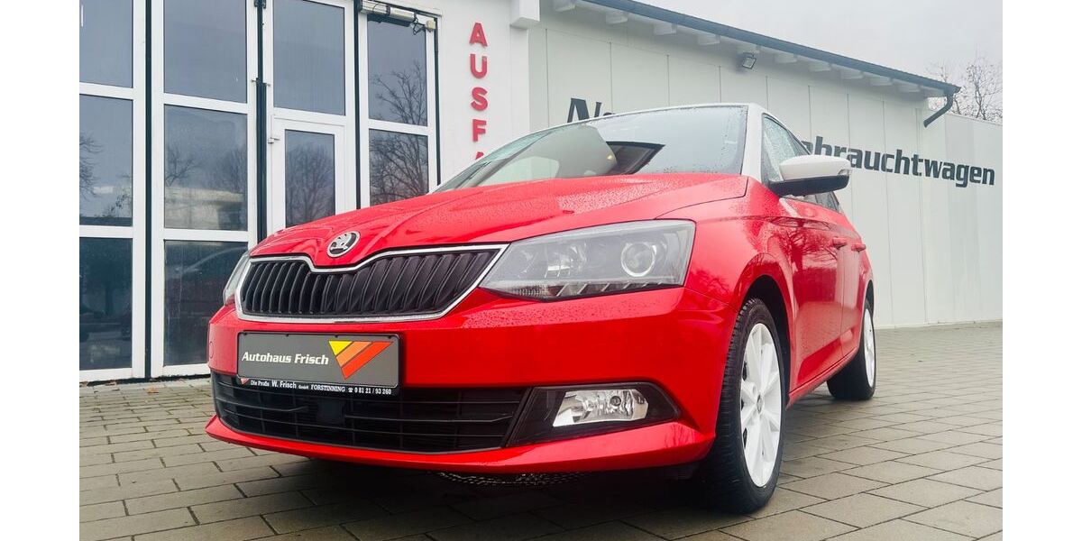 Skoda Fabia 19.800 km 14.790 &euro; Forstinning bei München 85661