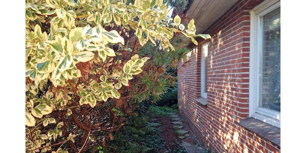 Kompakter Bungalow in gefragter Lage Husums 3 zimmer