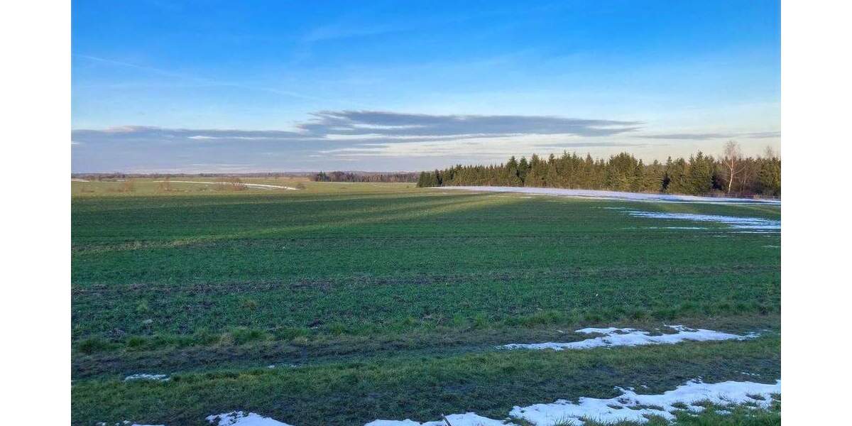 Einfamilienhaus Sangerhausen Breitenbach - 6 Zimmer, 160 m&sup2;, 249.000&euro; | Angebot:25744044