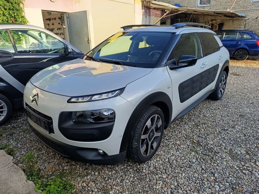 C4 Cactus
