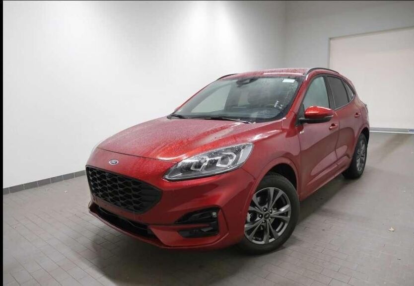 Kuga