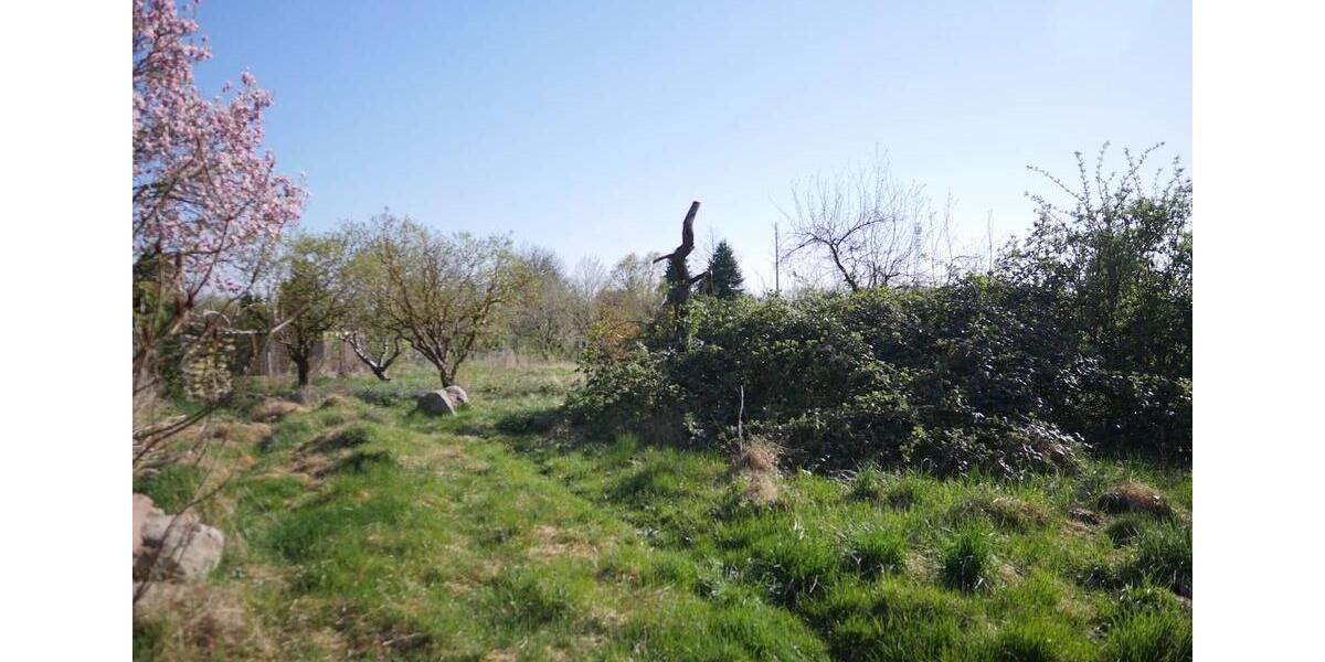 Reihenhaus Usedom - 300.000&euro; | Angebot:26776937