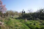 Reihenhaus Usedom - 300.000&euro; | Angebot:26776937