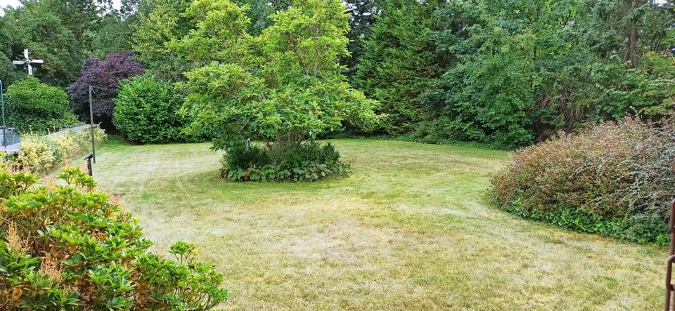 Einfamilienhaus Großenwiehe - 369.000&euro; | Angebot:25792676