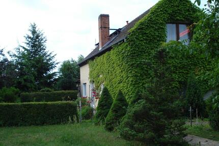 separate Wohnung mit Garten zimmer