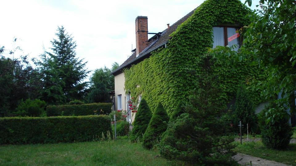 separate Wohnung mit Garten zimmer