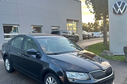 Skoda Octavia 122.000 km 8.200 € Willstätt 77731