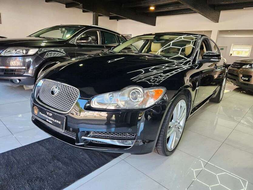 XF