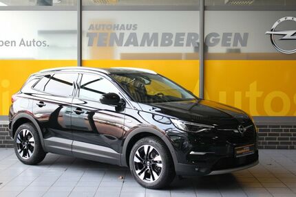 Opel Grandland (X) 9.000 km 24.900 &euro; Mettingen 49497