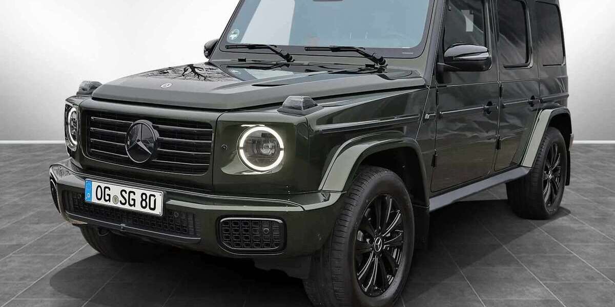 Mercedes-Benz G 450 10.000 km 173.100 &euro; Achern 77855