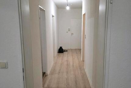 3 Zimmer Wohnung 3 zimmer