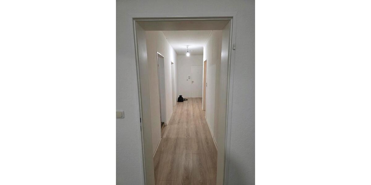 3 Zimmer Wohnung 3 zimmer