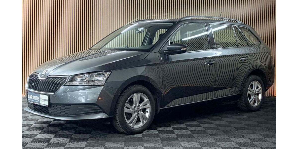 Skoda Fabia 125.000 km 12.890 &euro; Delbrück 33129