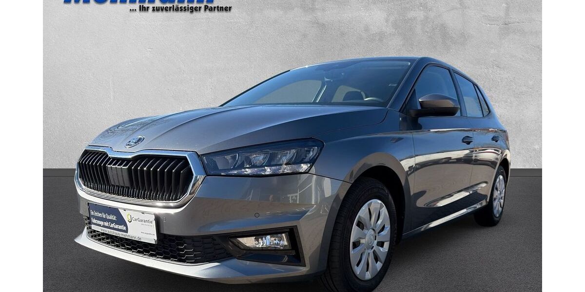 Skoda Fabia 119.400 km 13.900 &euro; Berge 49626