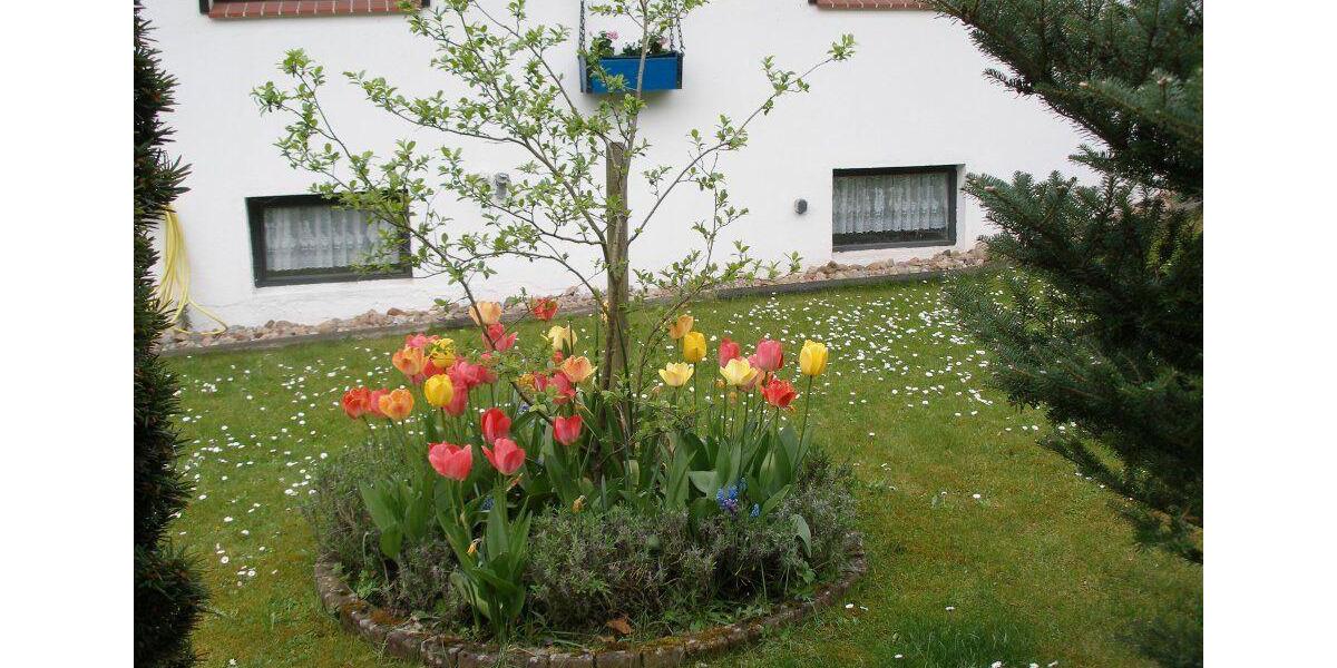 Einfamilienhaus Hitzacker (Elbe) - 7 Zimmer, 215 m&sup2;, 275.000&euro; | Angebot:26365881
