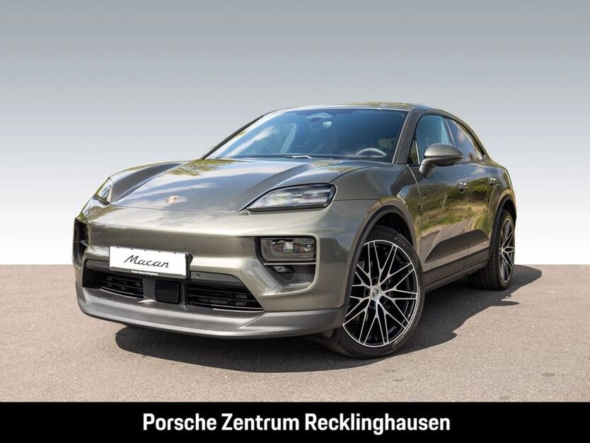 Macan