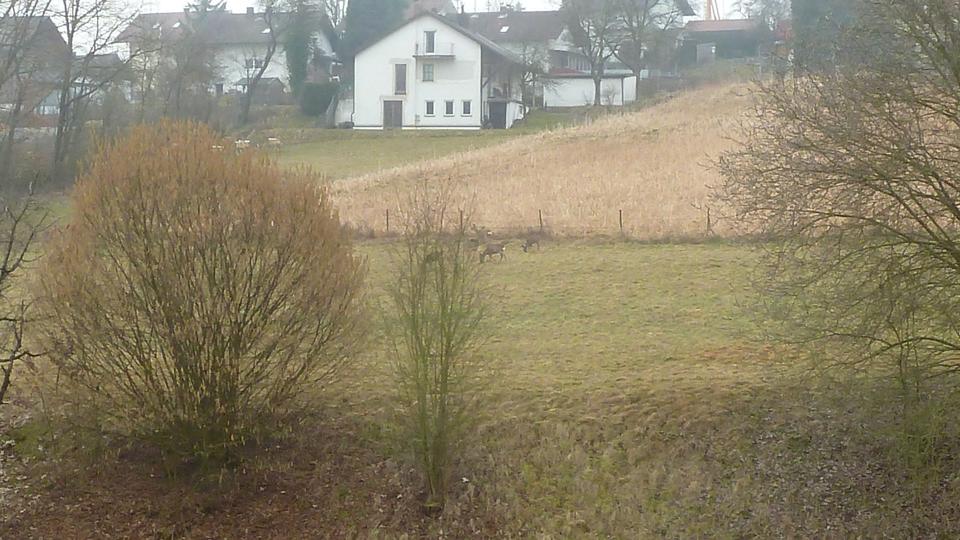 Etagenwohnung Bad Griesbach im Rottal - 2 Zimmer, 49 m&sup2;, 99.000&euro; | Angebot:26882722