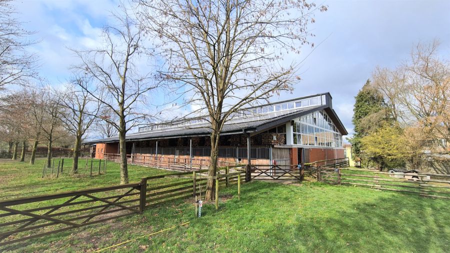 Provisionsfrei* Reithalle + Gewerbehalle auf Erbpachtbasis - Gewerbeobjekt Rees | Angebot:24375123