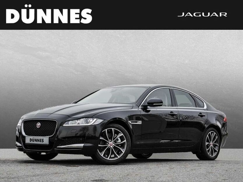 XF