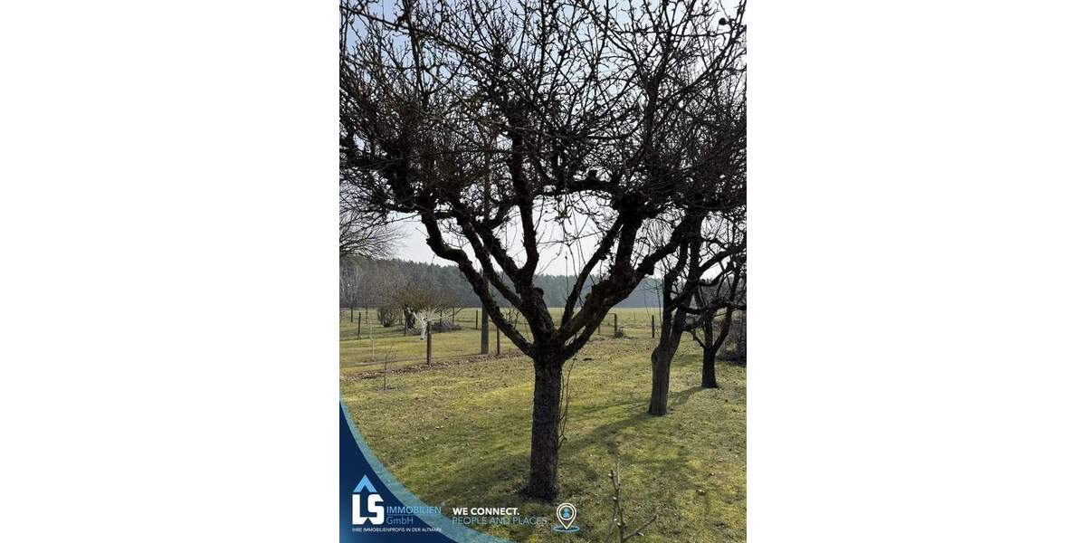 Doppelhaushälfte Dömitz OT Heidhof Heidhof - 3 Zimmer, 78 m&sup2;, 75.000&euro; | Angebot:25820556