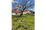 Einfamilienhaus Wettin-Löbejün Löbejün - 5 Zimmer, 130 m&sup2;, 330.000&euro; | Angebot:26292918