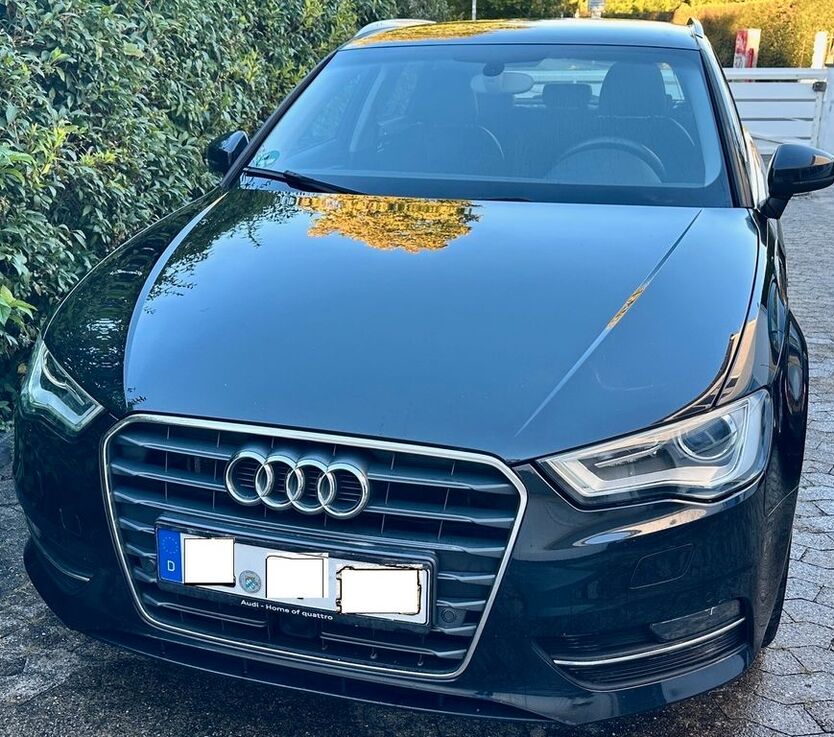 A3