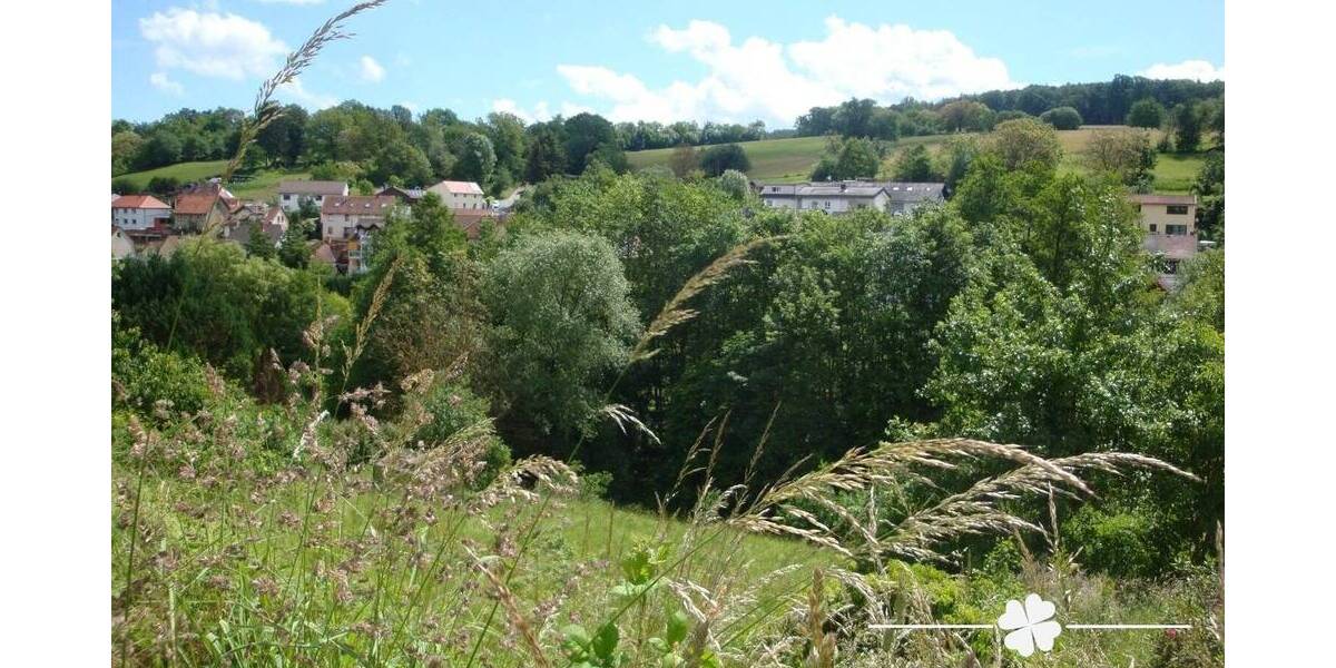 Grundstück Lützelbach / Seckmauern Seckmauern - 110.000&euro; | Angebot:25739072
