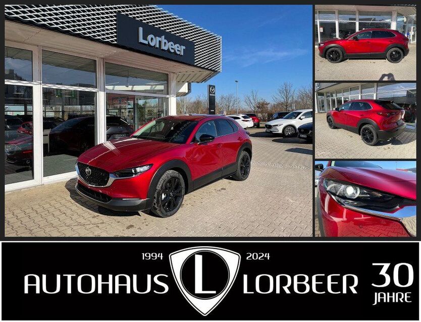 CX-30