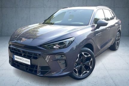 Cupra Terramar 8.900 km 37.290 &euro; Alsfeld 36304