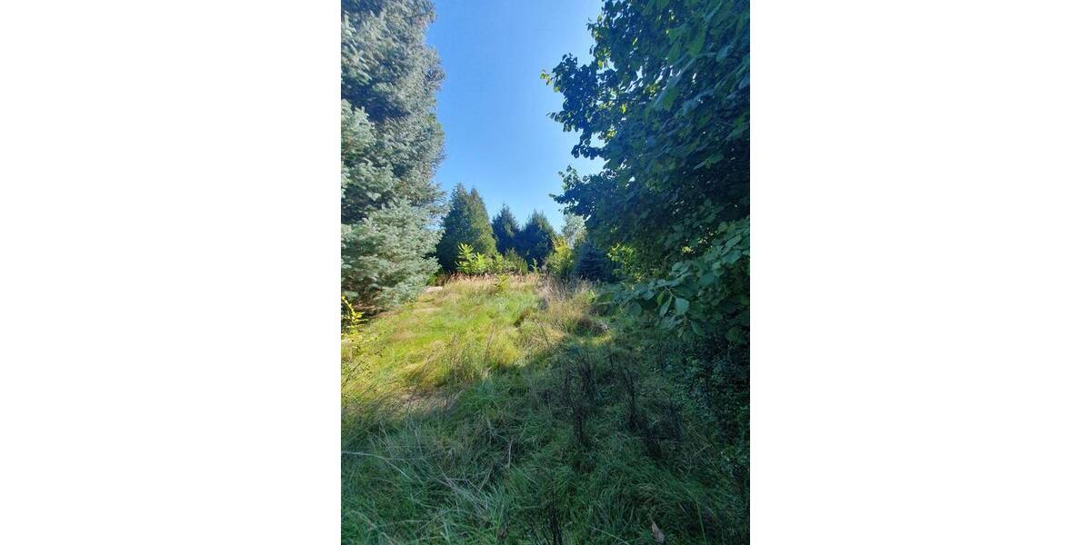 Doppelhaushälfte Bad Schmiedeberg - 4 Zimmer, 104 m&sup2;, 109.000&euro; | Angebot:25665773