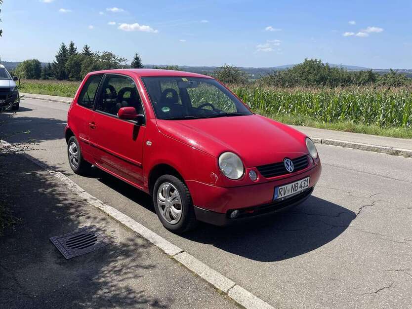 Lupo