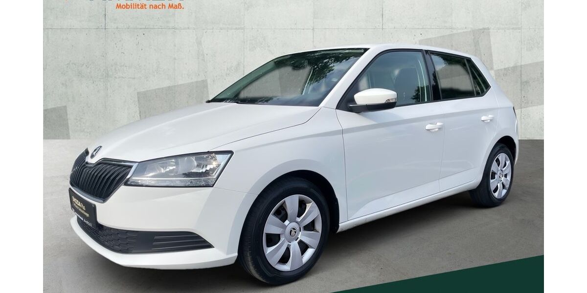 Skoda Fabia 49.999 km 12.849 &euro; Lingen 49808