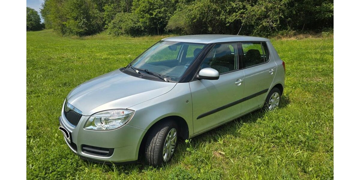 Skoda Fabia 53.300 km 3.999 &euro; Unterwellenborn 07333