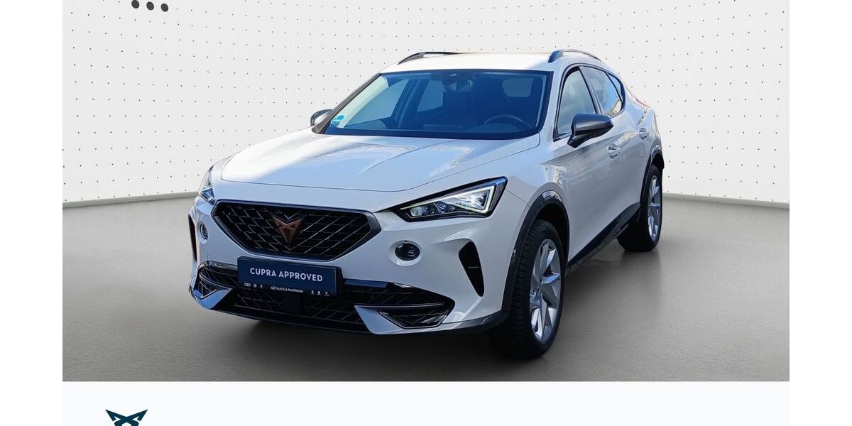 Cupra Formentor 53.597 km 22.940 &euro; Hofheim-Diedenbergen 65719